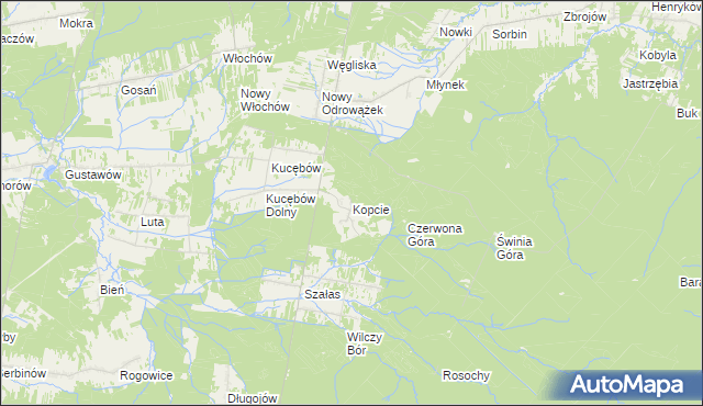 mapa Kopcie gmina Bliżyn, Kopcie gmina Bliżyn na mapie Targeo