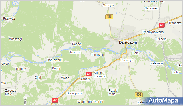 mapa Lisowice gmina Działoszyn, Lisowice gmina Działoszyn na mapie Targeo