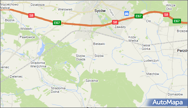 mapa Ślizów, Ślizów na mapie Targeo