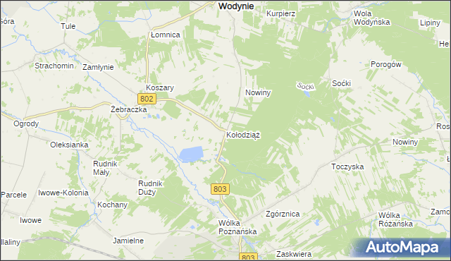 mapa Kołodziąż gmina Wodynie, Kołodziąż gmina Wodynie na mapie Targeo