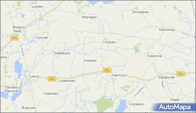 mapa Rakowo gmina Damasławek, Rakowo gmina Damasławek na mapie Targeo