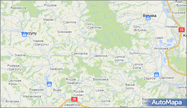 mapa Jabłonica gmina Skołyszyn, Jabłonica gmina Skołyszyn na mapie Targeo