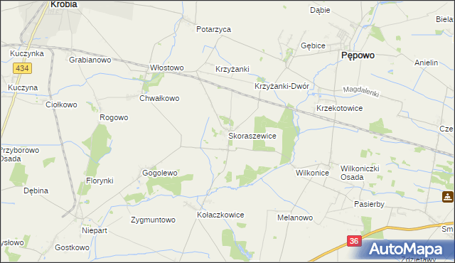 mapa Skoraszewice, Skoraszewice na mapie Targeo