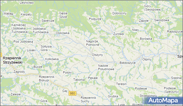 mapa Olszyny gmina Rzepiennik Strzyżewski, Olszyny gmina Rzepiennik Strzyżewski na mapie Targeo