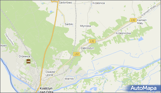 mapa Dąbroszyn gmina Witnica, Dąbroszyn gmina Witnica na mapie Targeo