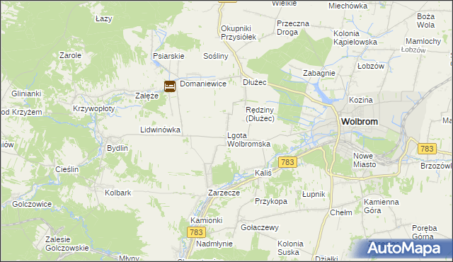 mapa Lgota Wolbromska, Lgota Wolbromska na mapie Targeo