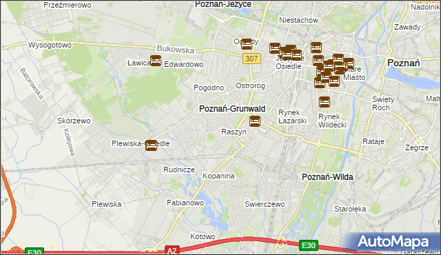 mapa Raszyn gmina Poznań, Raszyn gmina Poznań na mapie Targeo