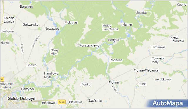 mapa Smólniki gmina Radomin, Smólniki gmina Radomin na mapie Targeo