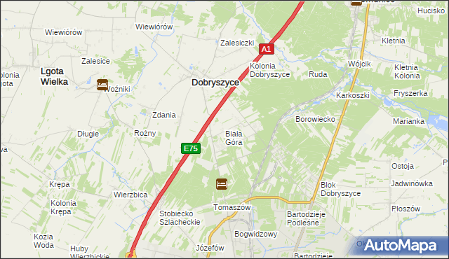 mapa Biała Góra gmina Dobryszyce, Biała Góra gmina Dobryszyce na mapie Targeo