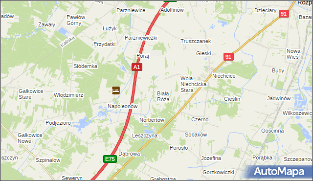 mapa Biała Róża gmina Rozprza, Biała Róża gmina Rozprza na mapie Targeo