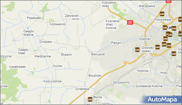 mapa Biskupice gmina Nowe Skalmierzyce, Biskupice gmina Nowe Skalmierzyce na mapie Targeo