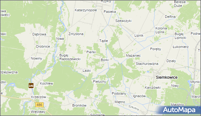 mapa Borki gmina Siemkowice, Borki gmina Siemkowice na mapie Targeo