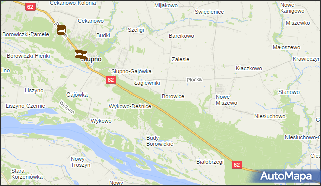 mapa Borowice gmina Bodzanów, Borowice gmina Bodzanów na mapie Targeo