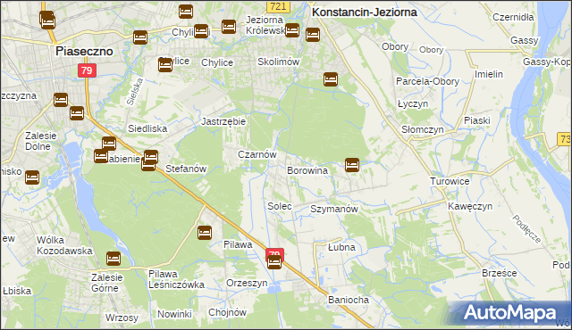 mapa Borowina gmina Konstancin-Jeziorna, Borowina gmina Konstancin-Jeziorna na mapie Targeo