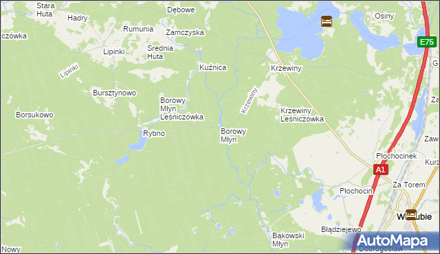 mapa Borowy Młyn gmina Warlubie, Borowy Młyn gmina Warlubie na mapie Targeo
