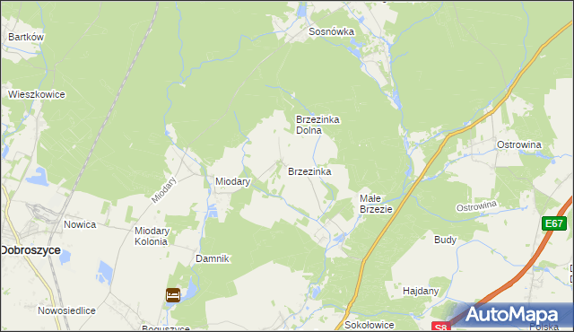 mapa Brzezinka gmina Oleśnica, Brzezinka gmina Oleśnica na mapie Targeo