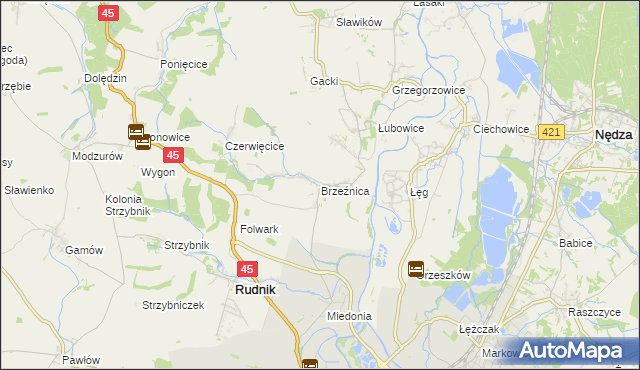 mapa Brzeźnica gmina Rudnik, Brzeźnica gmina Rudnik na mapie Targeo