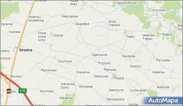 mapa Dąbkowice gmina Strzelce, Dąbkowice gmina Strzelce na mapie Targeo