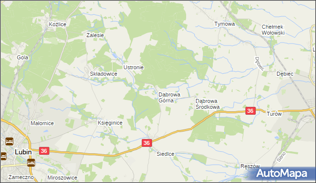 mapa Dąbrowa Górna gmina Lubin, Dąbrowa Górna gmina Lubin na mapie Targeo