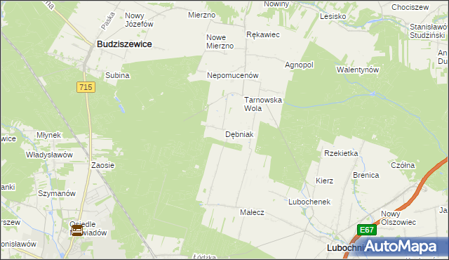 mapa Dębniak gmina Lubochnia, Dębniak gmina Lubochnia na mapie Targeo