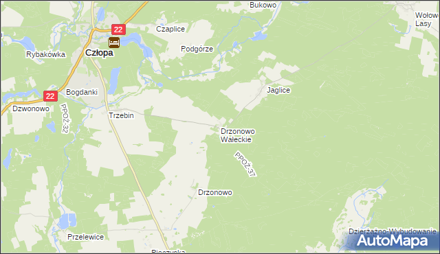 mapa Drzonowo Wałeckie, Drzonowo Wałeckie na mapie Targeo
