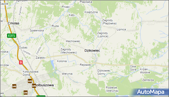 mapa Dzikowiec powiat kolbuszowski, Dzikowiec powiat kolbuszowski na mapie Targeo