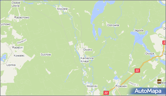 mapa Głusko, Głusko na mapie Targeo