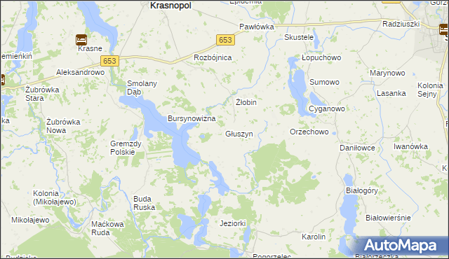 mapa Głuszyn gmina Krasnopol, Głuszyn gmina Krasnopol na mapie Targeo