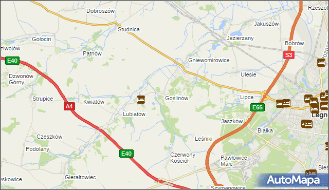 mapa Goślinów, Goślinów na mapie Targeo