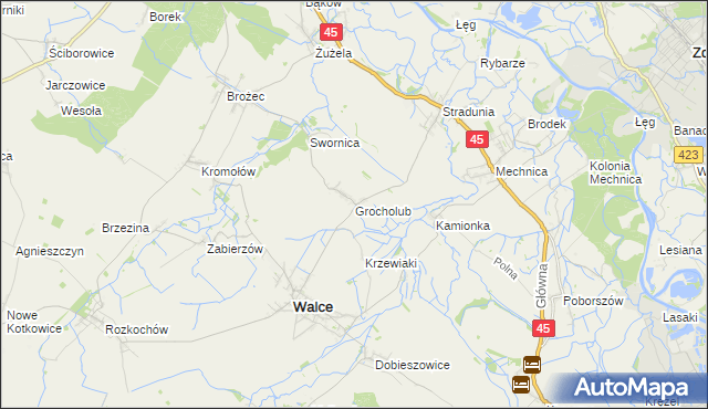 mapa Grocholub, Grocholub na mapie Targeo