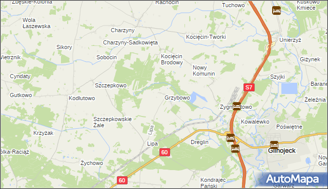 mapa Grzybowo gmina Raciąż, Grzybowo gmina Raciąż na mapie Targeo