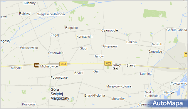mapa Janów gmina Góra Świętej Małgorzaty, Janów gmina Góra Świętej Małgorzaty na mapie Targeo