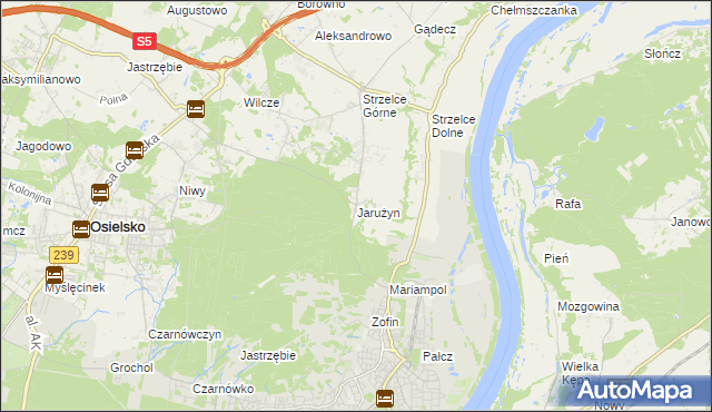 mapa Jarużyn gmina Osielsko, Jarużyn gmina Osielsko na mapie Targeo