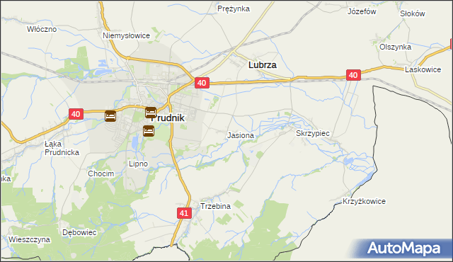 mapa Jasiona gmina Lubrza, Jasiona gmina Lubrza na mapie Targeo