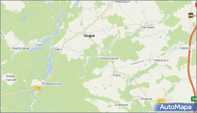 mapa Kaliszkowice gmina Skąpe, Kaliszkowice gmina Skąpe na mapie Targeo