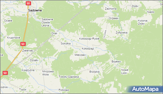 mapa Kołodziąż gmina Sadowne, Kołodziąż gmina Sadowne na mapie Targeo