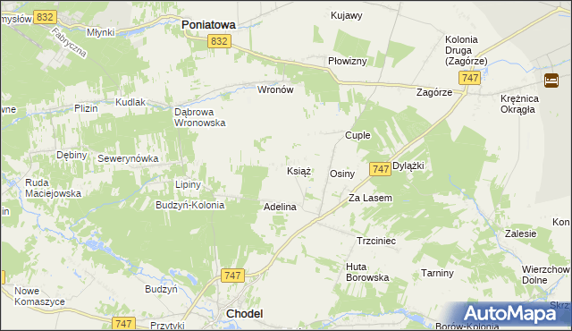 mapa Książ gmina Chodel, Książ gmina Chodel na mapie Targeo