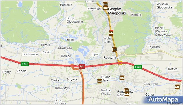 mapa Lipie gmina Głogów Małopolski, Lipie gmina Głogów Małopolski na mapie Targeo