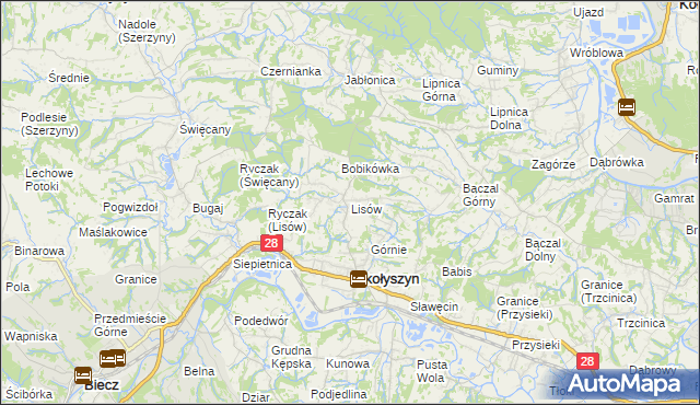 mapa Lisów gmina Skołyszyn, Lisów gmina Skołyszyn na mapie Targeo