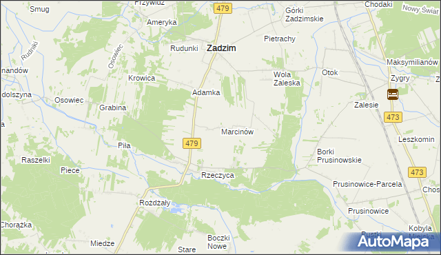 mapa Marcinów gmina Zadzim, Marcinów gmina Zadzim na mapie Targeo