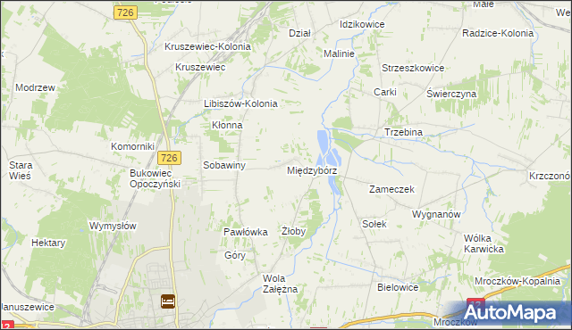 mapa Międzybórz gmina Opoczno, Międzybórz gmina Opoczno na mapie Targeo