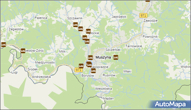 mapa Muszyna, Muszyna na mapie Targeo