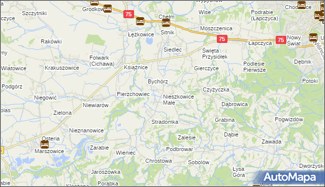 mapa Nieszkowice Małe, Nieszkowice Małe na mapie Targeo