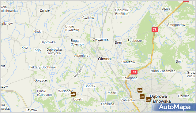 mapa Olesno powiat dąbrowski, Olesno powiat dąbrowski na mapie Targeo