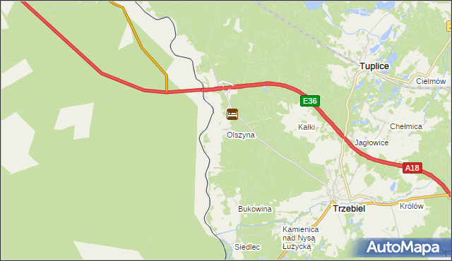 mapa Olszyna gmina Trzebiel, Olszyna gmina Trzebiel na mapie Targeo