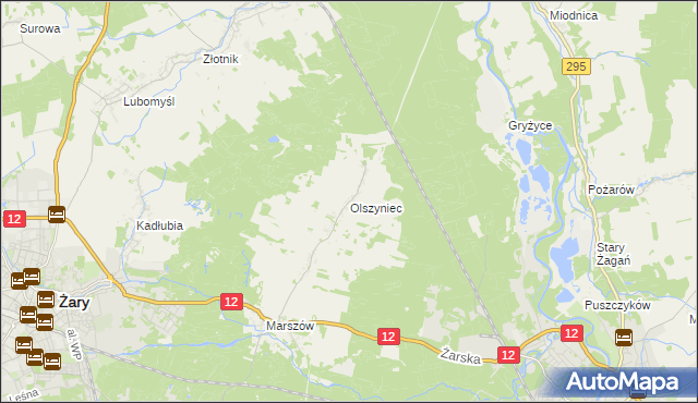 mapa Olszyniec gmina Żary, Olszyniec gmina Żary na mapie Targeo