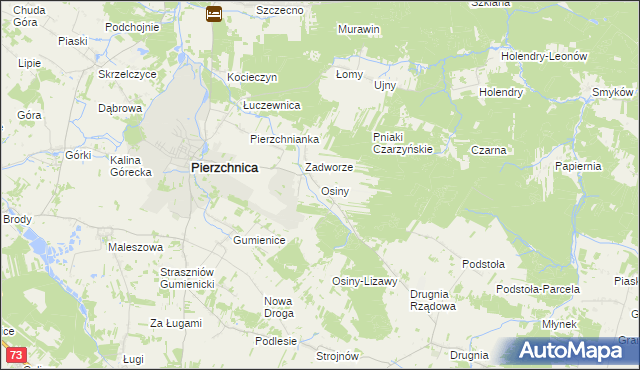 mapa Osiny gmina Pierzchnica, Osiny gmina Pierzchnica na mapie Targeo