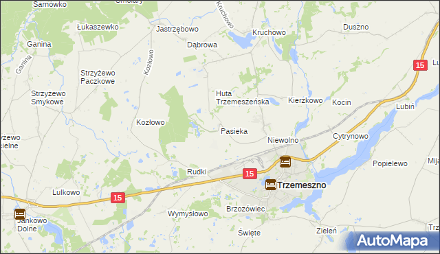 mapa Pasieka gmina Trzemeszno, Pasieka gmina Trzemeszno na mapie Targeo