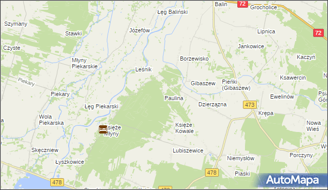 mapa Paulina gmina Poddębice, Paulina gmina Poddębice na mapie Targeo