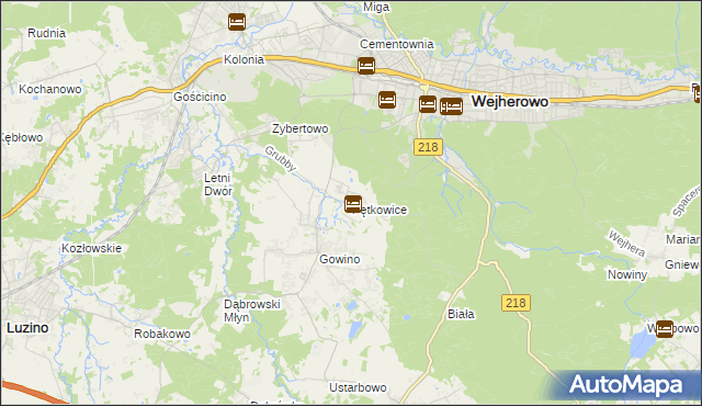 mapa Pętkowice gmina Wejherowo, Pętkowice gmina Wejherowo na mapie Targeo